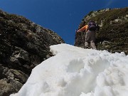 Festa di crocus e camosci sui sentieri per la FORCELLA ROSSA da San Simone-Baita Camoscio – 15magg25 - FOTOGALLERY